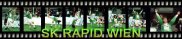 Sk Rapid Wien